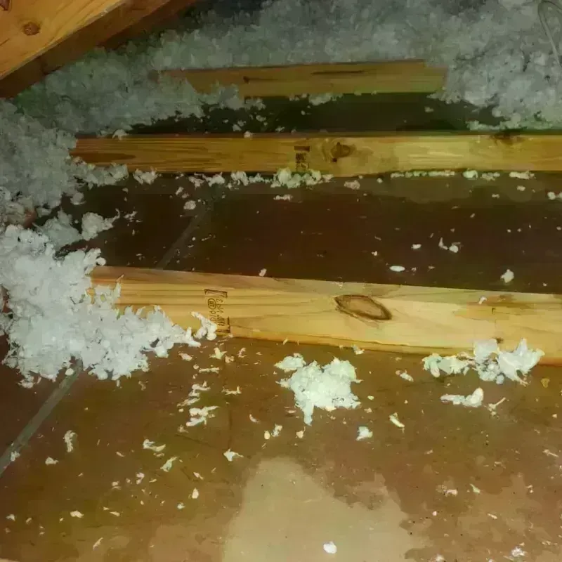 Attic Water Damage in Wheeler County, NE