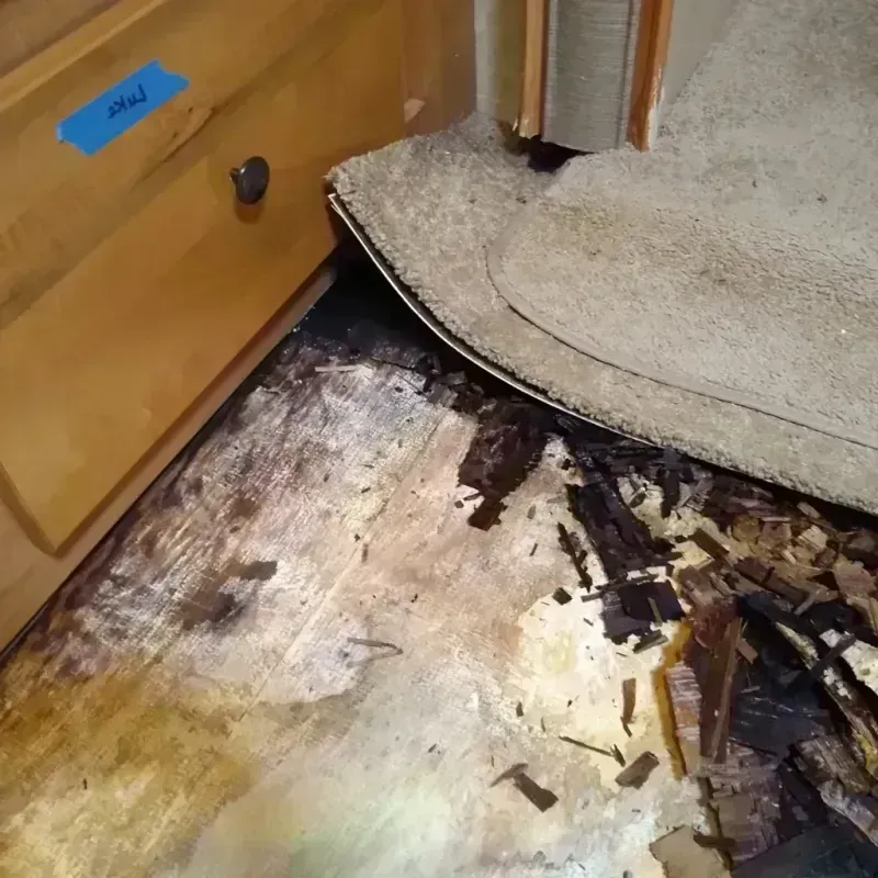 Wood Floor Water Damage in Wheeler County, NE